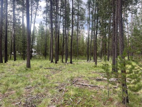 55975 Savage Drive Bend OR 97707