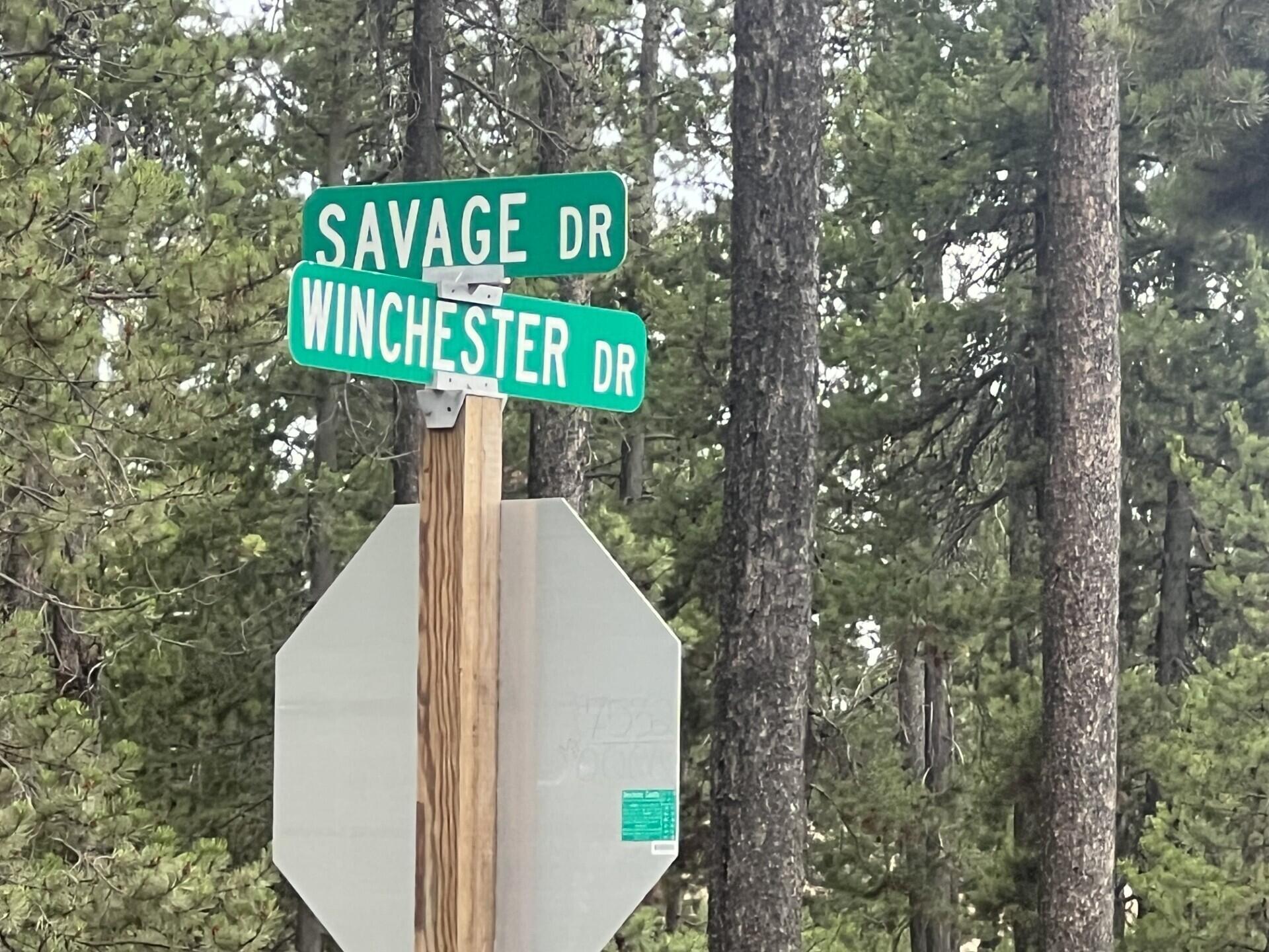 55975 Savage Drive