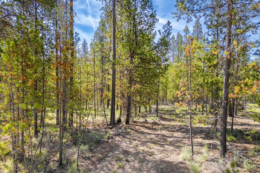 Nestled among the pine trees of La Pine, Oregon, this 1.25-acre bare lot promises a serene escape and boundless potential. Surrounded by towering trees, it offers a tranquil setting perfect for imagining a cabin retreat or a peaceful getaway in Central Oregon's serene wilderness.