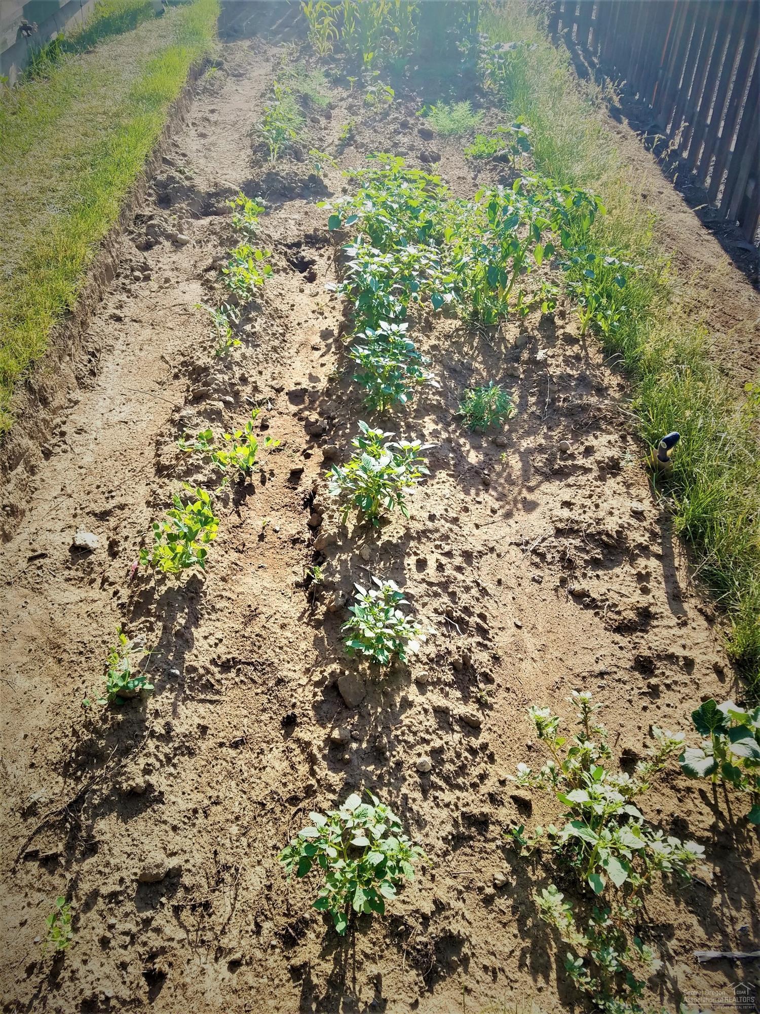 Hayden Village - Residential