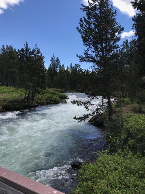 Tiny photo for 53591 Brookie Way, La Pine, OR 97739 (MLS # 220214451)