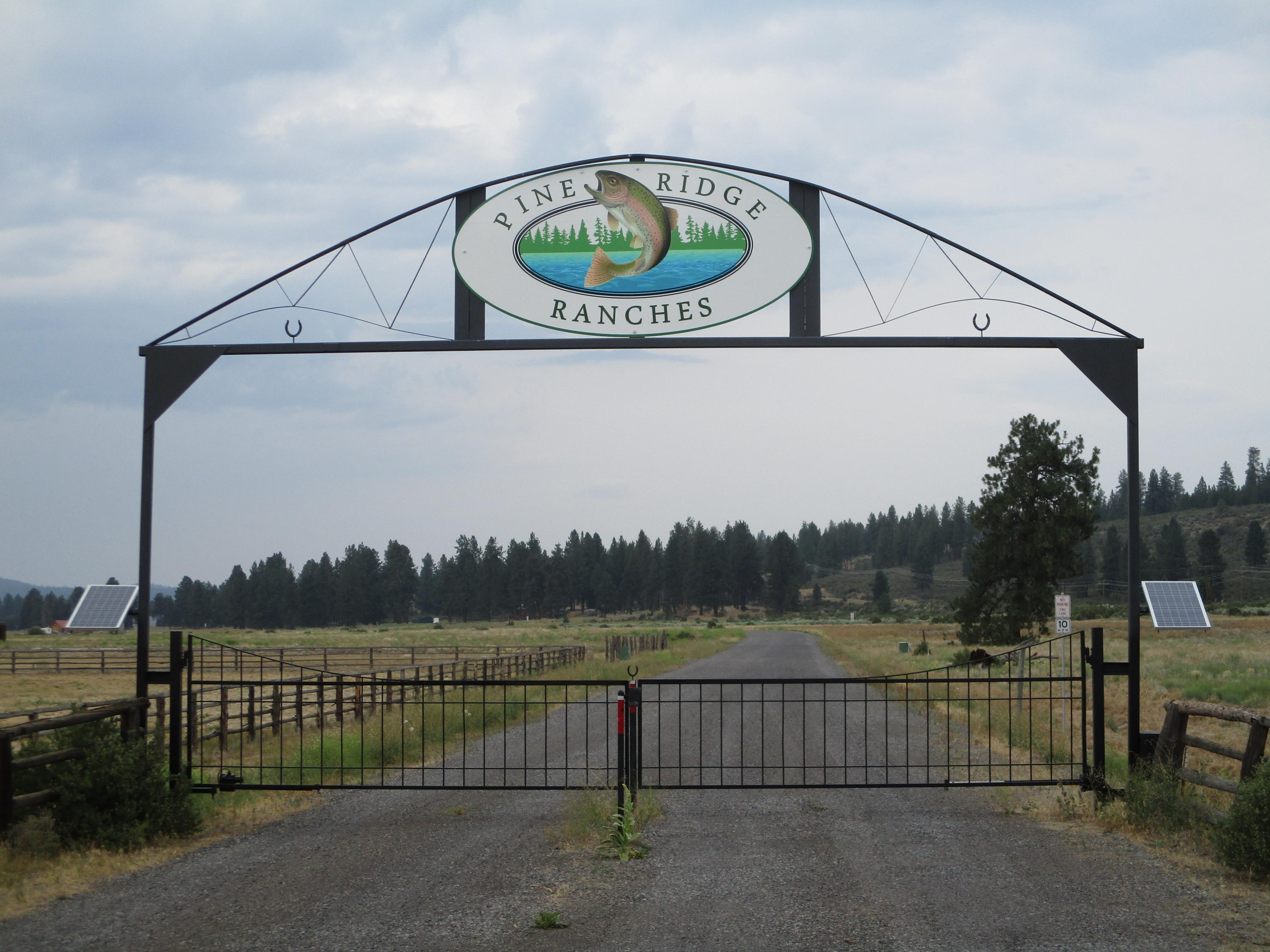 Pine Ridge Ranches - Land