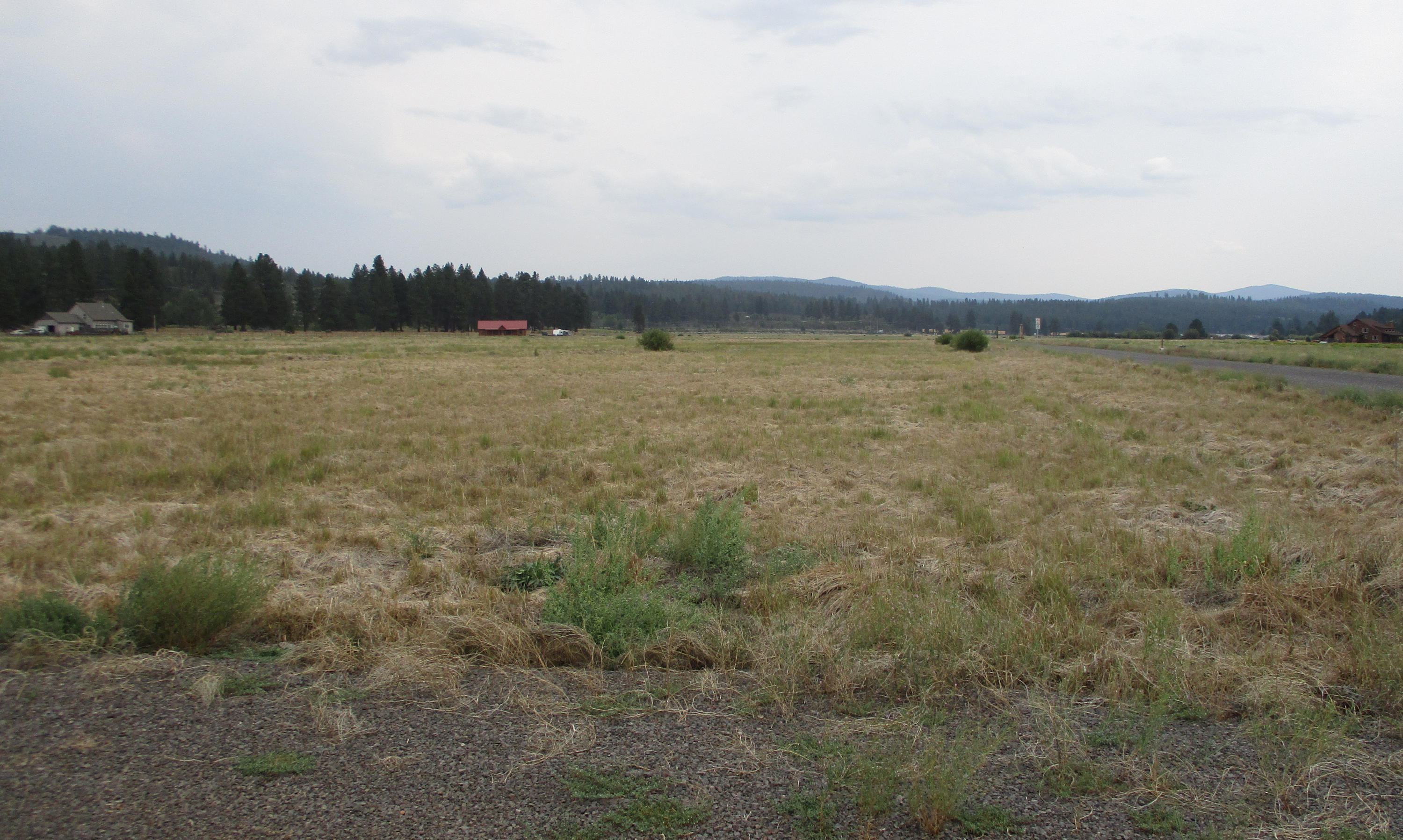 Pine Ridge Ranches - Land