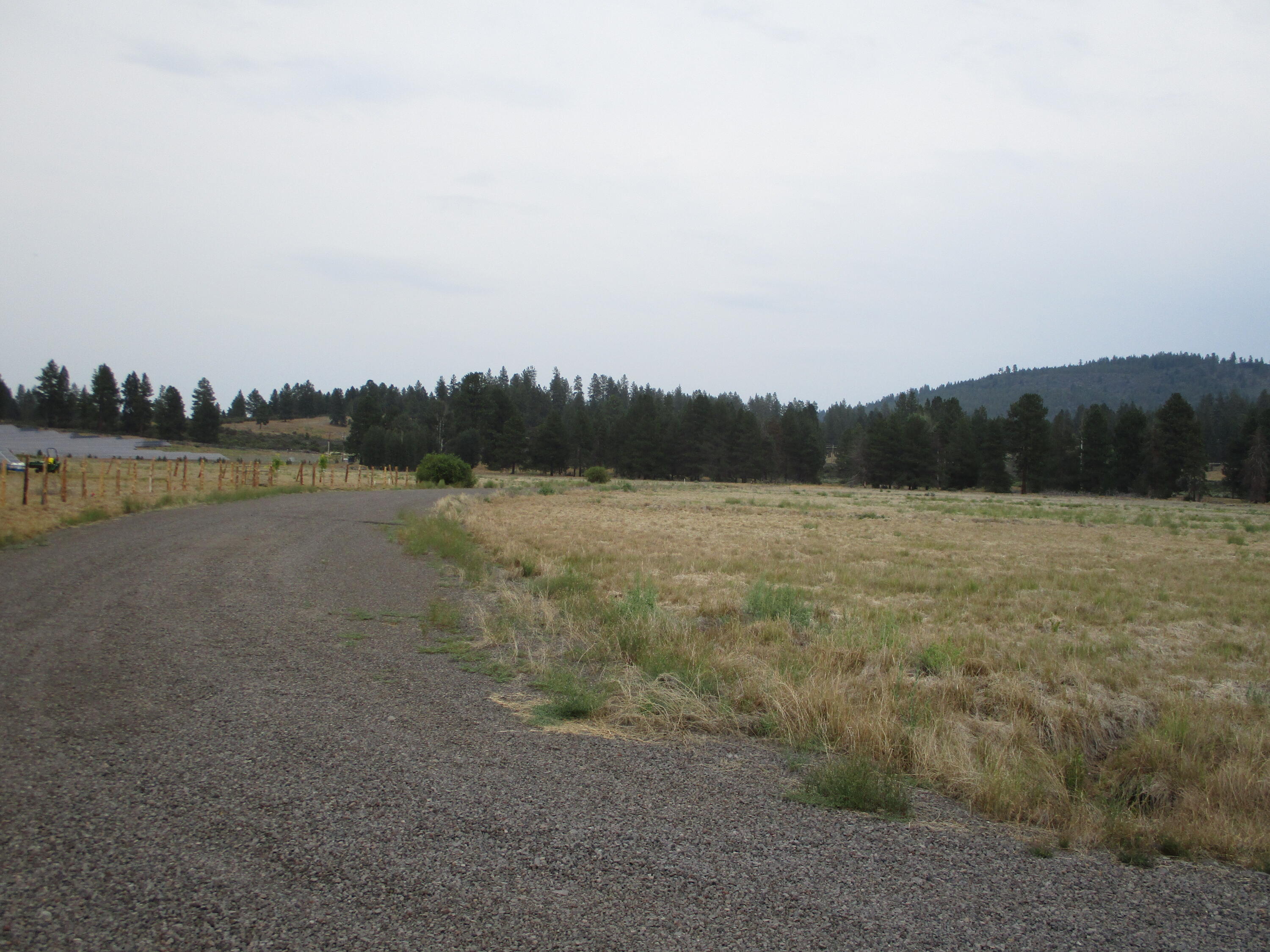 Pine Ridge Ranches - Land