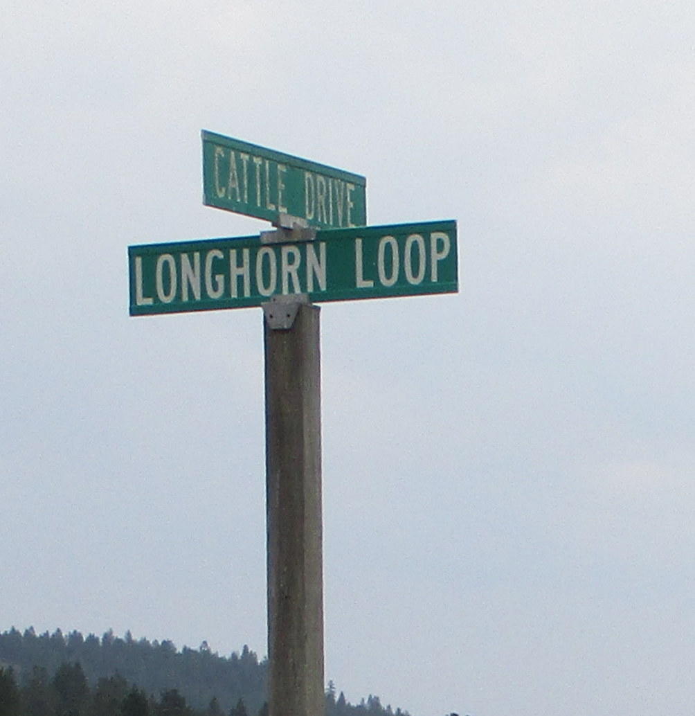 Pine Ridge Ranches - Land