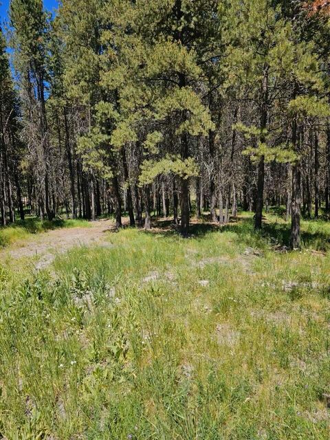 16304 Big Buck Lane Bend OR 97707