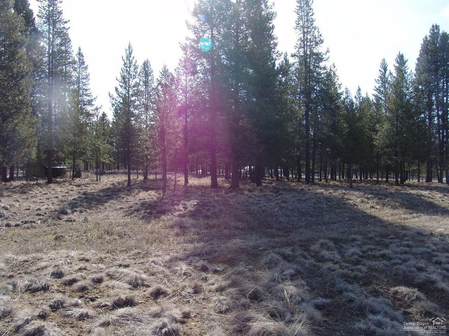 1 acre Bare Lot in Sun Forest Estates. Build on it or camp on it. Great location just ten minutes from Downtown La Pine and close to outdoor recreation. Adjacent lot also available for $30,000.