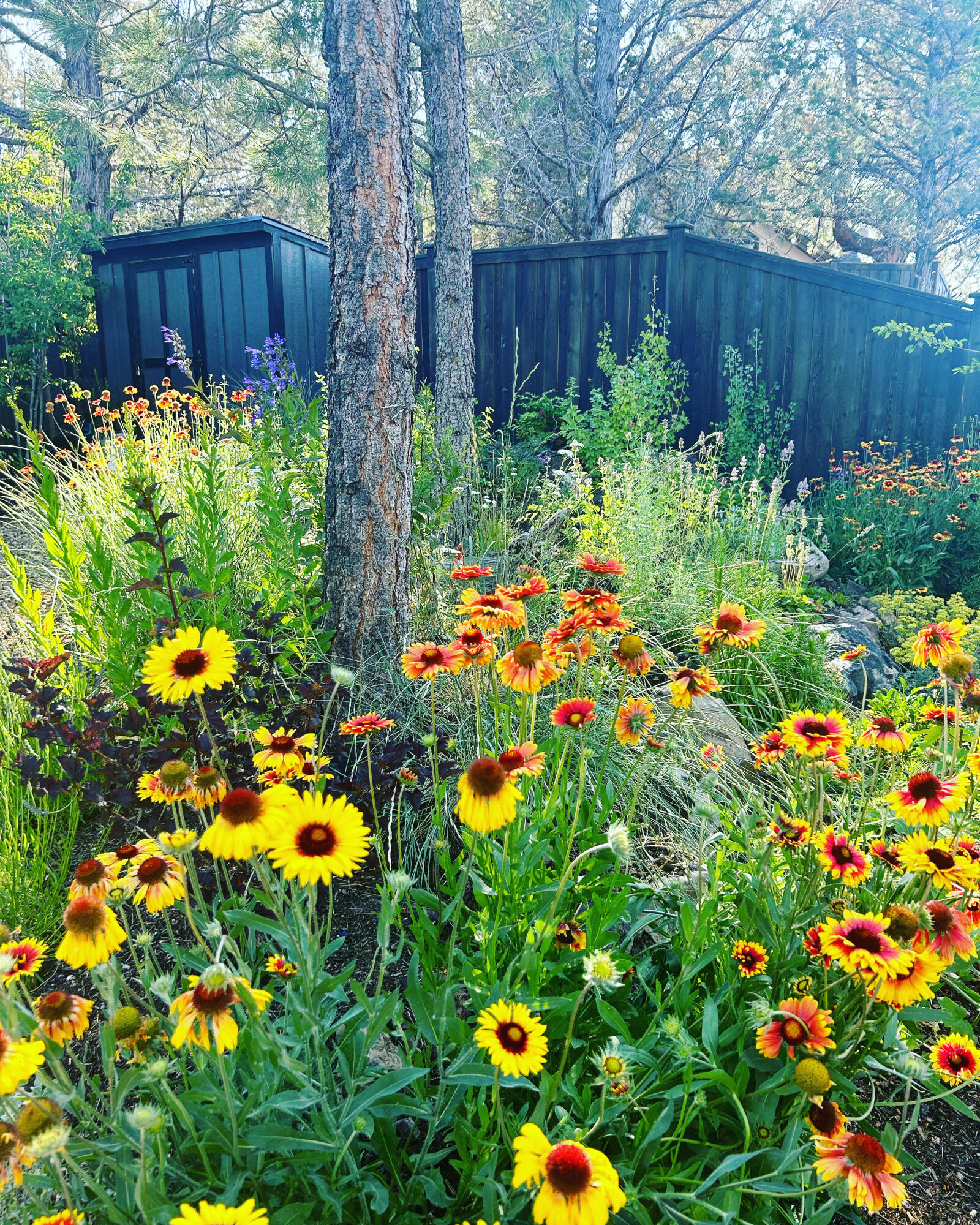 Marken Summit - Residential