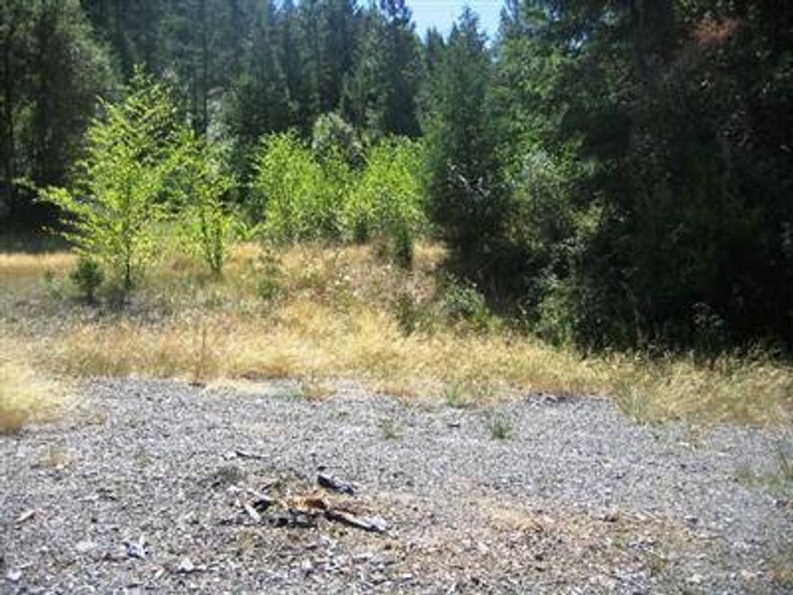 Perfect Retreat Property with Homesite and Septic Approvals! Beautiful mature conifers and fresh air surrounds you while listening to year round Dog Fork Creek. Located on the lower portion of Dog Fork Creek Rd for easier access, elevation is approximately 3000 ft. This 20 acres are two tax lots and backed by Forest Service lands to the North. No well but good water area. Priced right to sell fast!