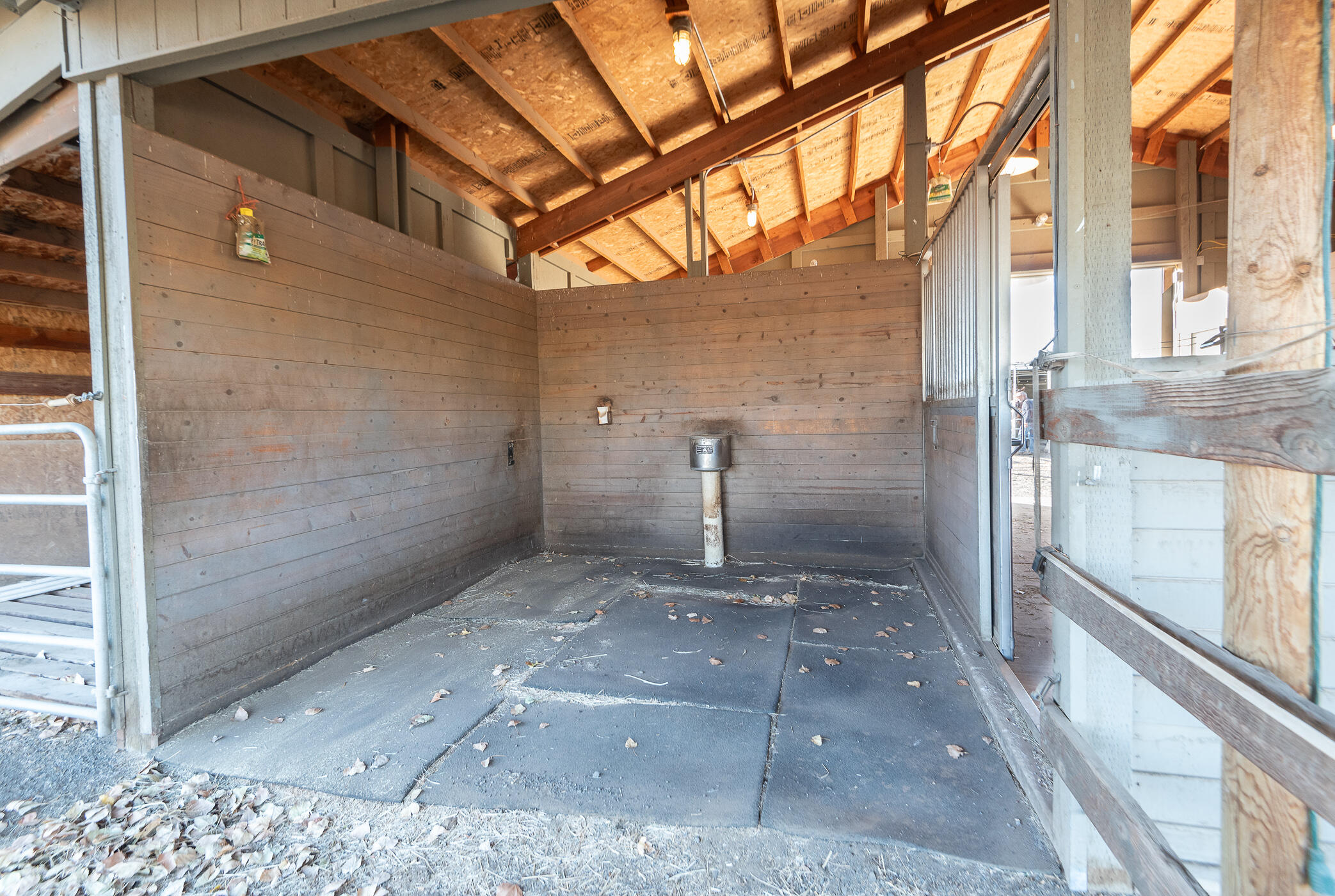 1880 Ranch - Residential