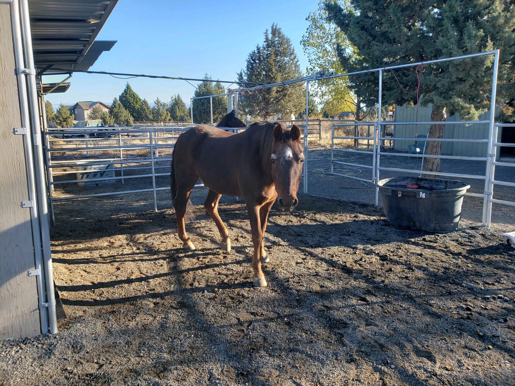 1880 Ranch - Residential
