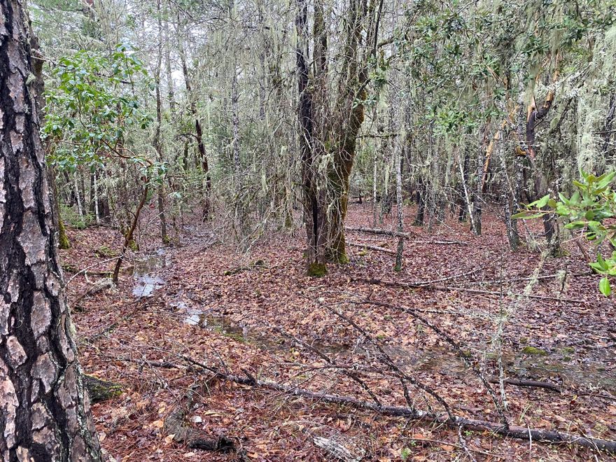 Minutes north of Grants Pass and just 3 miles down Jumpoff Joe Creek road sets this 5.07 Acre wooded offering. Secluded and mostly level parcel hosts Douglas Fir, Pine, Madrone, oak and manzanita trees. Some of the timber maybe marketable. Within the acreage flows a nice little seasonal creek, the perfect spot for the setting of your new homesite. CCR's are in place right now. Currently No well or septic exists yet. Property has had home site investigations performed with county. Utilities are at road. Start planning today for the future country custom home of your dreams! Seller will consider owner carry with large down.
