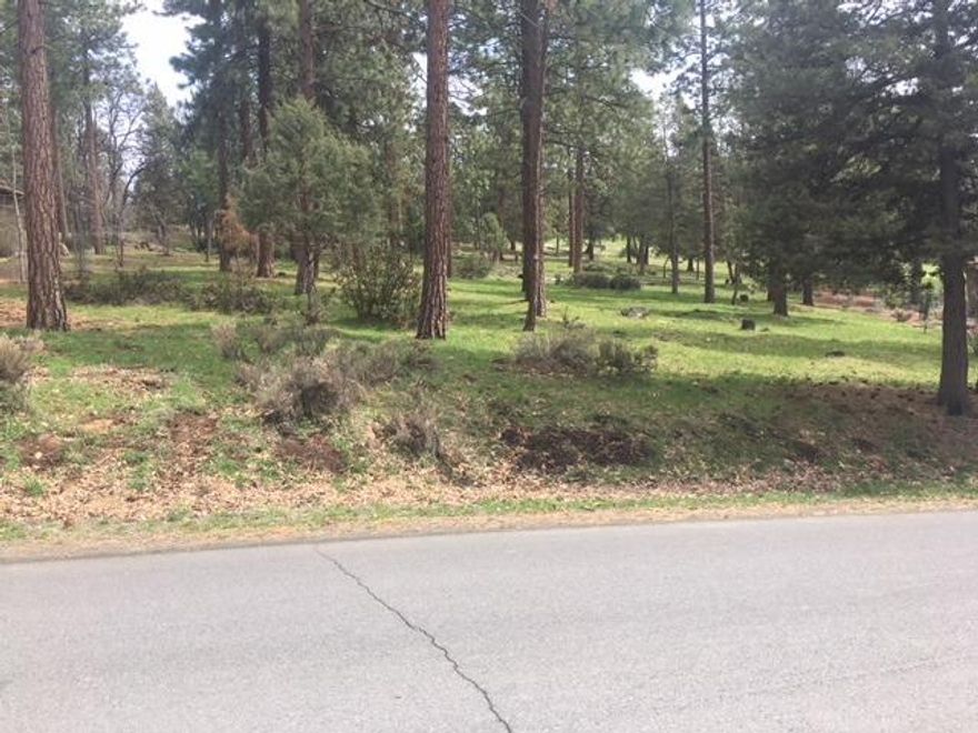 Nicely treed and easily buildable 1/2 acre lot in an area of custom homes in desirable Running Y Ranch Resort with Arnold Palmer designed 18-hole golf course, restaurants, ice rink, horseback riding, and numerous trails. Stunning development in a sunny Southern Oregon Community. HOA fees include membership to the fitness facility with spa, sauna, indoor pool, and tennis courts. Lot is located near the golf course and short walk to the pro shop. Miles of trails and wildlife galore!