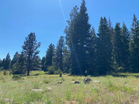 Tiny photo for 19009 Dead Indian Memorial Rd, Ashland, OR 97520 (MLS # 220217447)