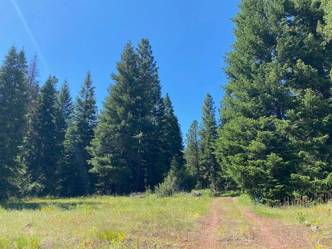 Tiny photo for 19009 Dead Indian Memorial Rd, Ashland, OR 97520 (MLS # 220217447)