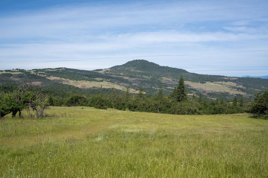 966.87 acres located in Southern Oregon with 10 legal Lots of Record. Historically used as a cattle ranch with some timber. Property has excellent hunting opportunities for Roosevelt Elk, Blacktail Deer, Bear and Wild Turkeys just to name a few. Elevation ranges from 2100 ft to 2900 ft with most of the property gently sloped. Lots of trails and roads for ATV, Horseback riding and hiking. The property borders BLM and Prescott Park in Medford,