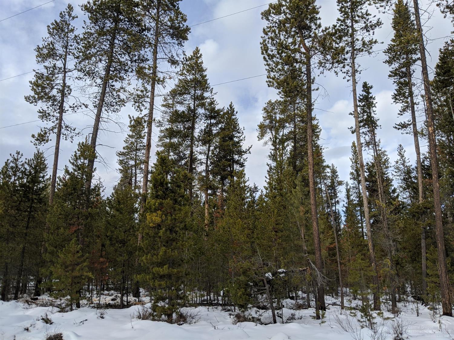 Cl+D Ranch Tracts - Land