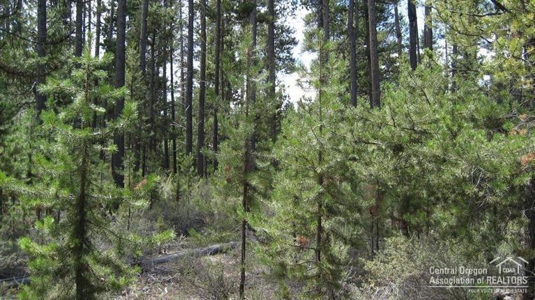 Cl+D Ranch Tracts - Land