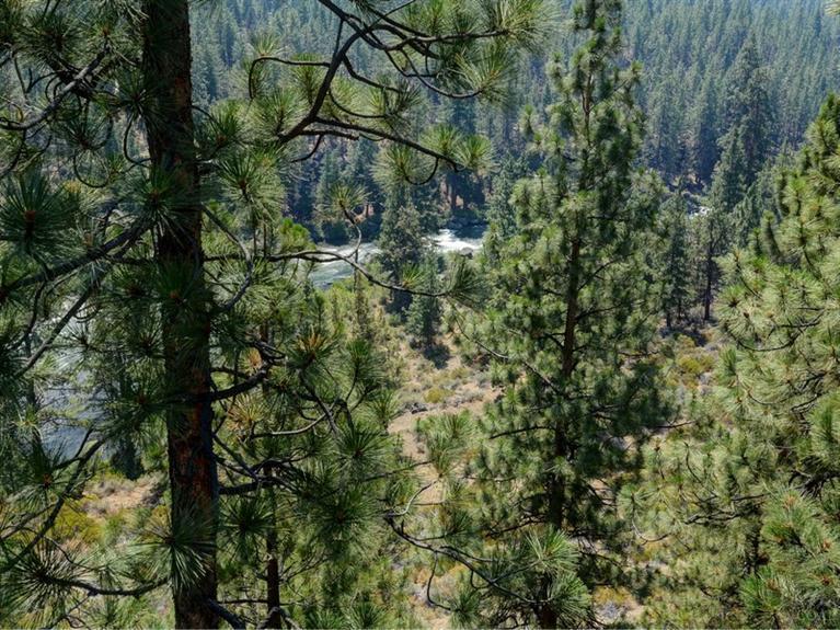 Mt Bachelor Village - Residential