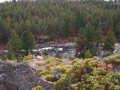 Mt Bachelor Village - Residential