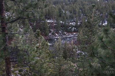 Mt Bachelor Village - Residential