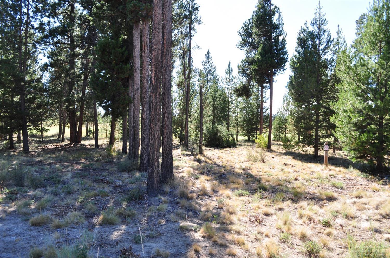 Caldera Springs - Land