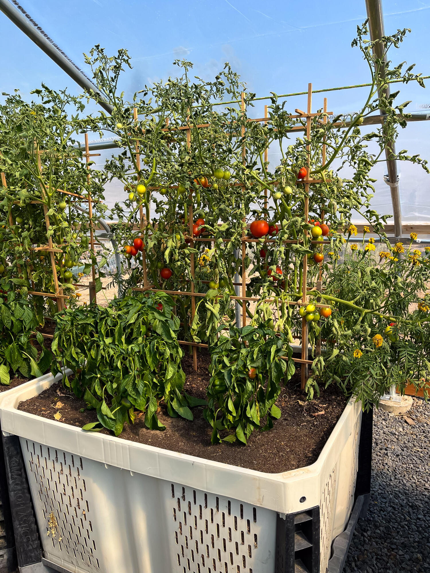 Plainview Est South - Residential