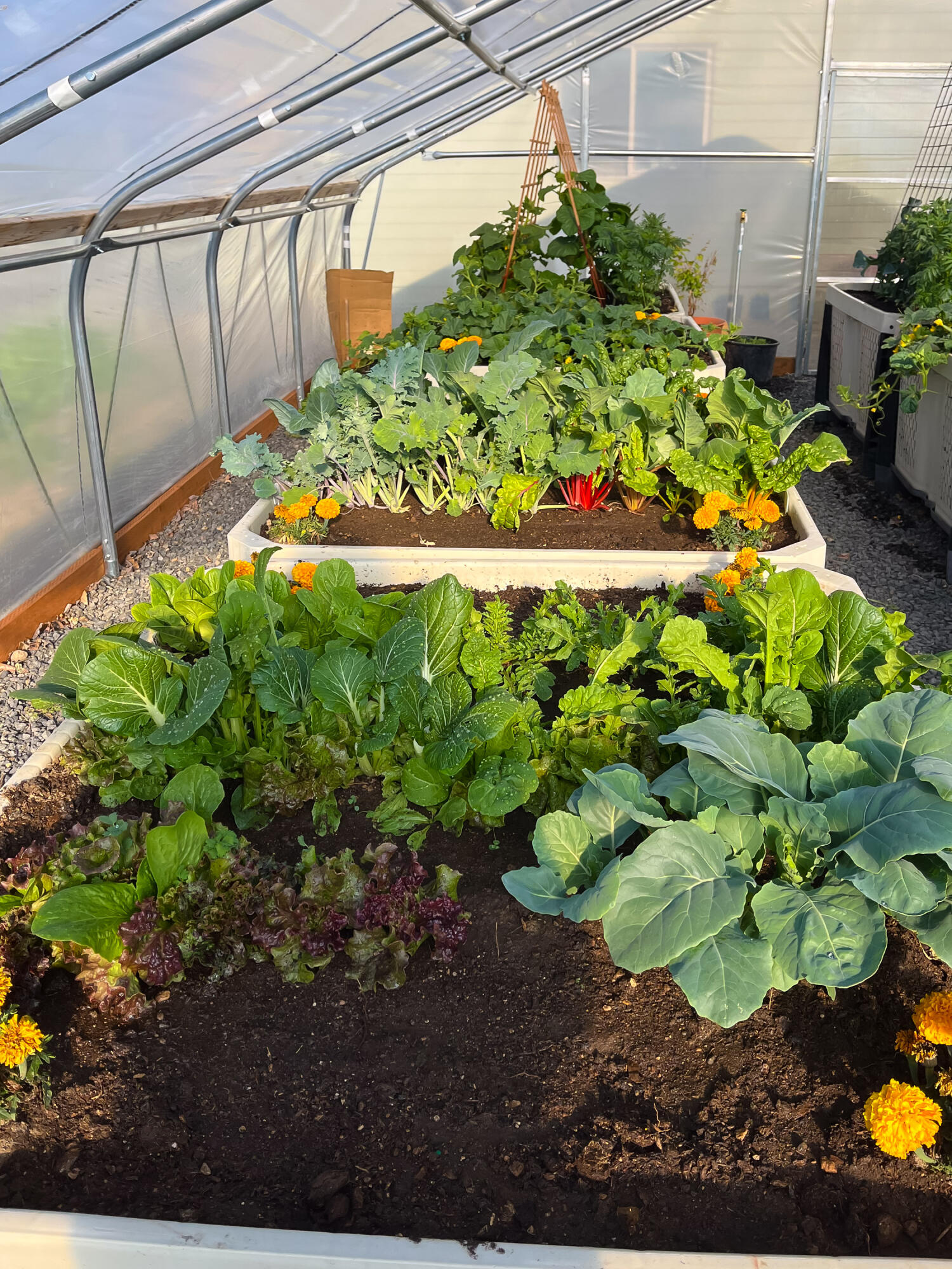 Plainview Est South - Residential