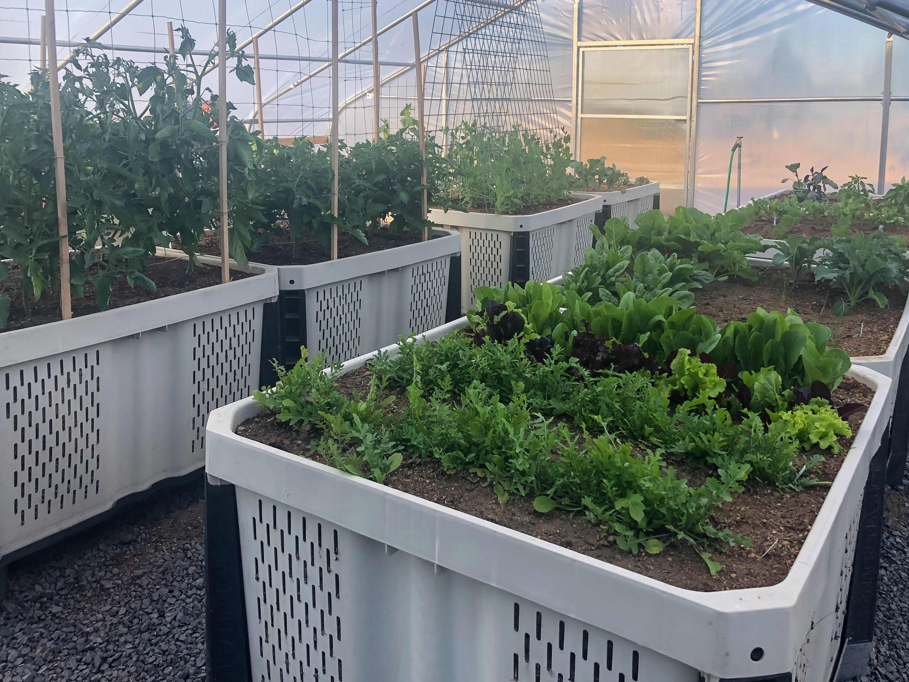 Plainview Est South - Residential