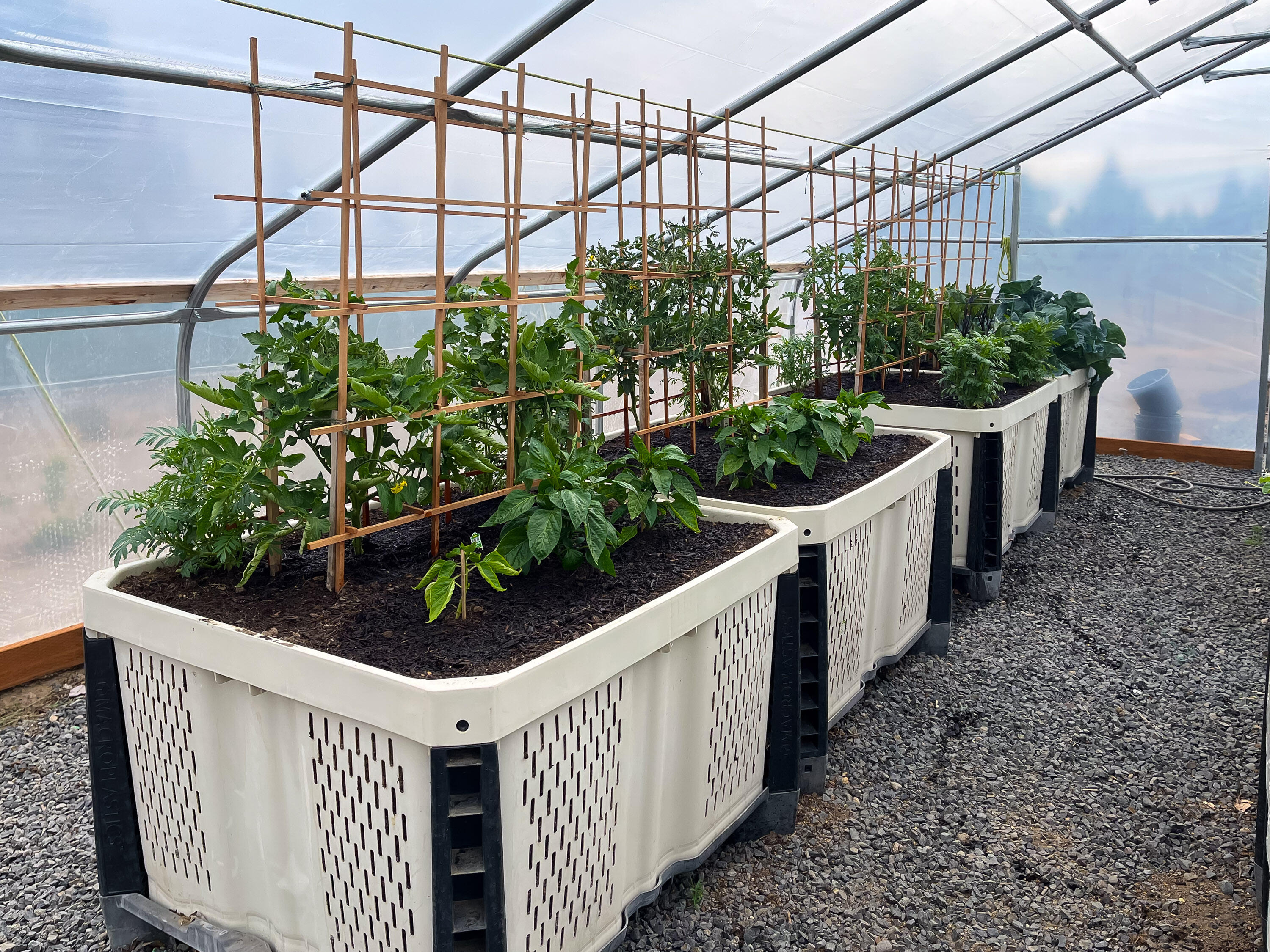 Plainview Est South - Residential