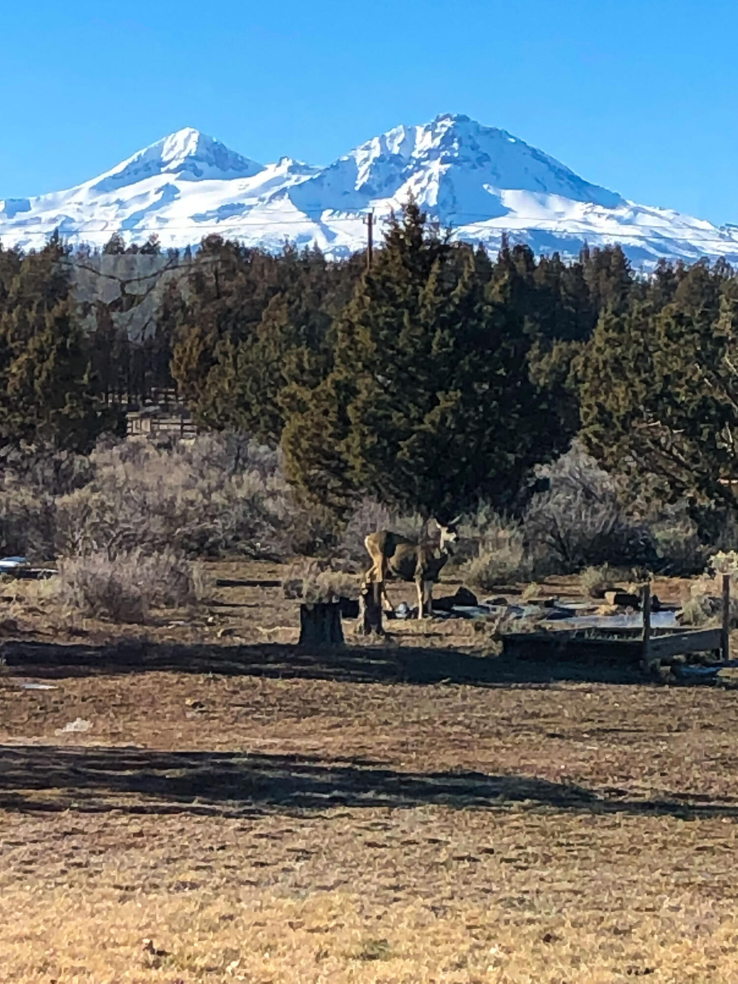 Plainview Est South - Residential