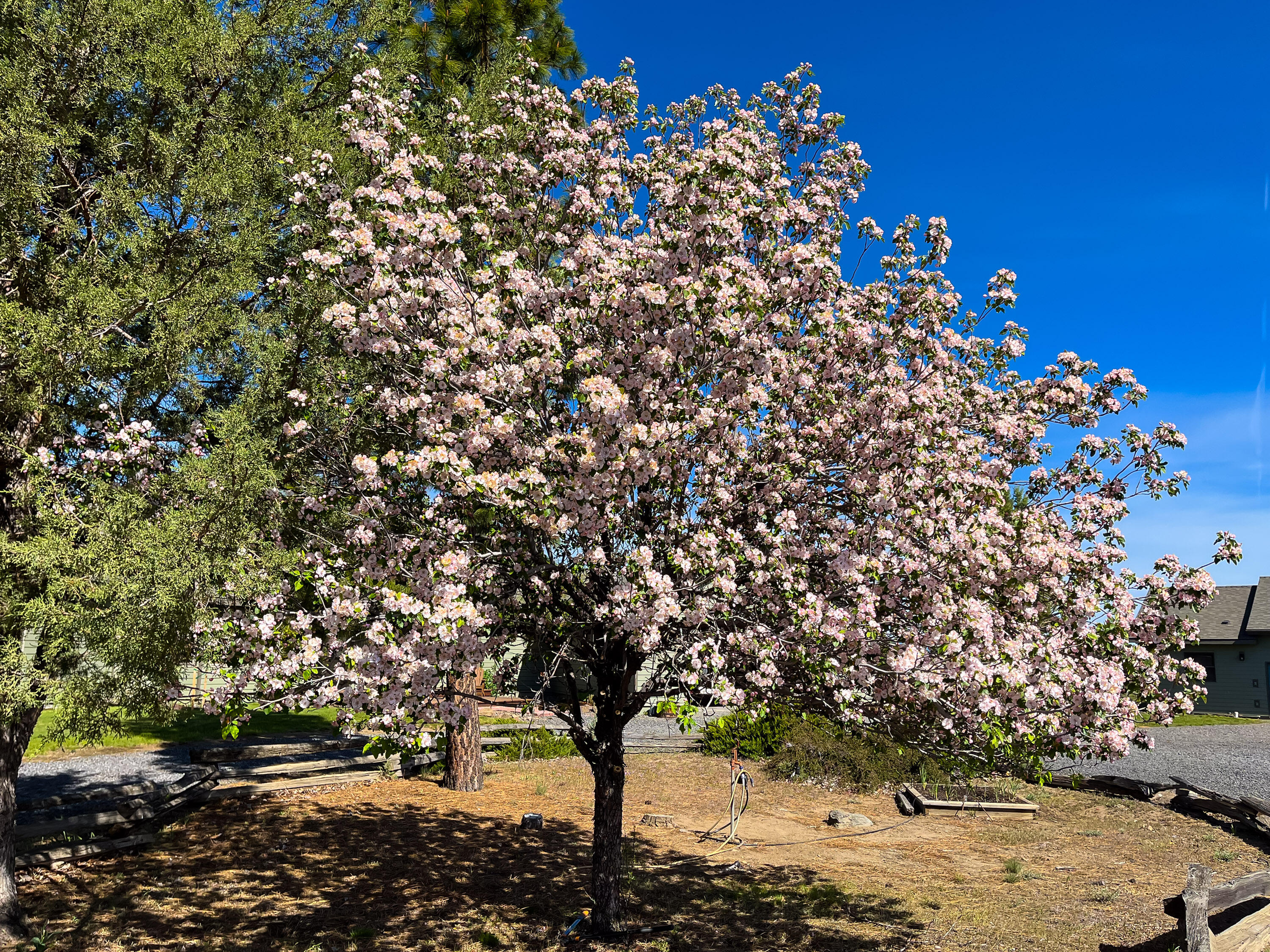 Plainview Est South - Residential