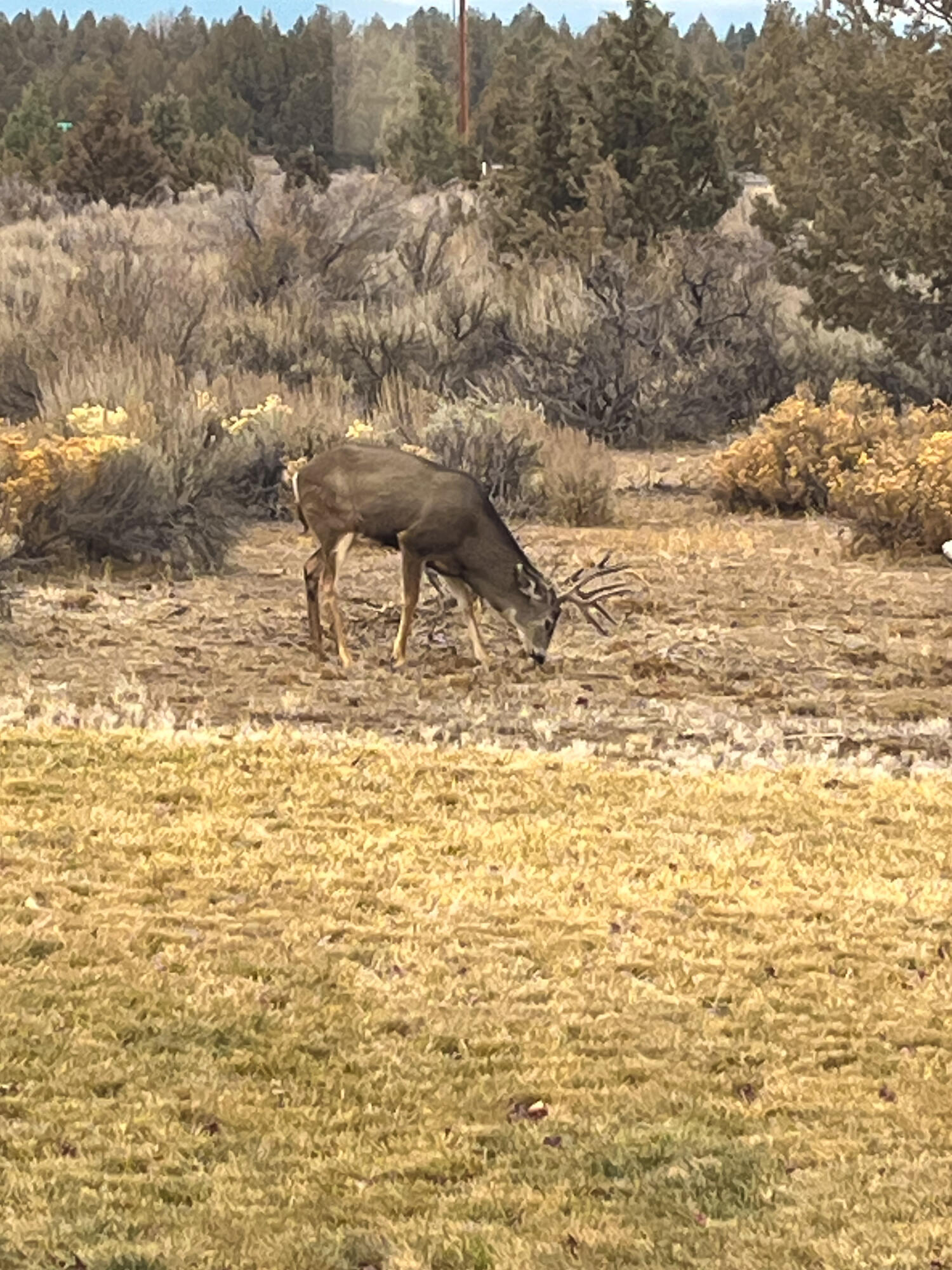Plainview Est South - Residential