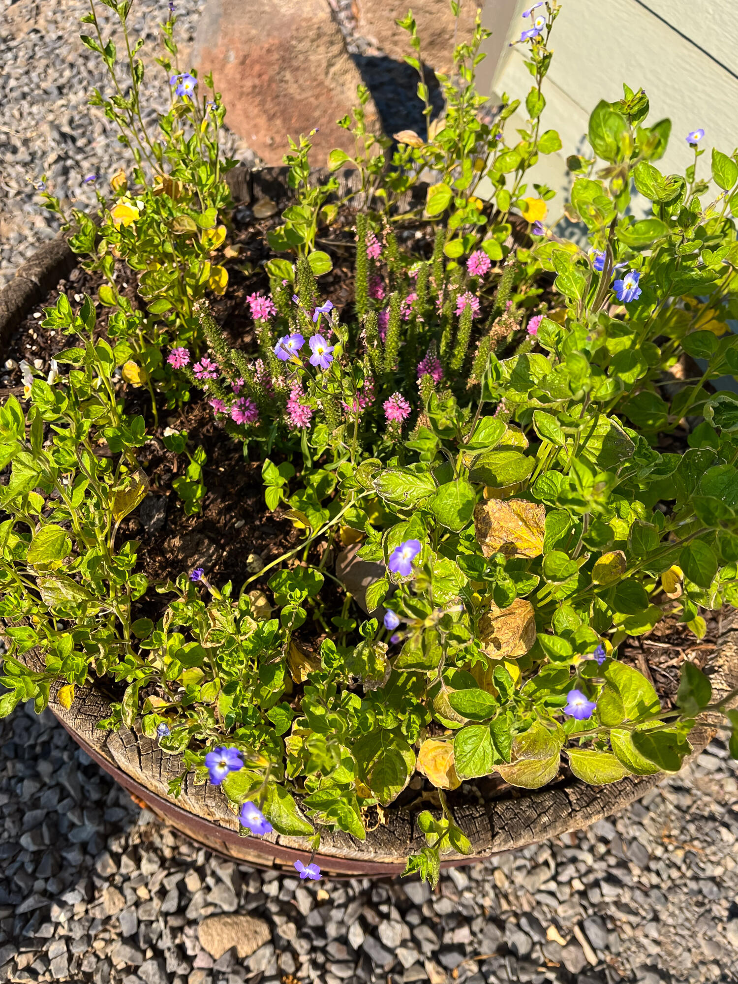 Plainview Est South - Residential