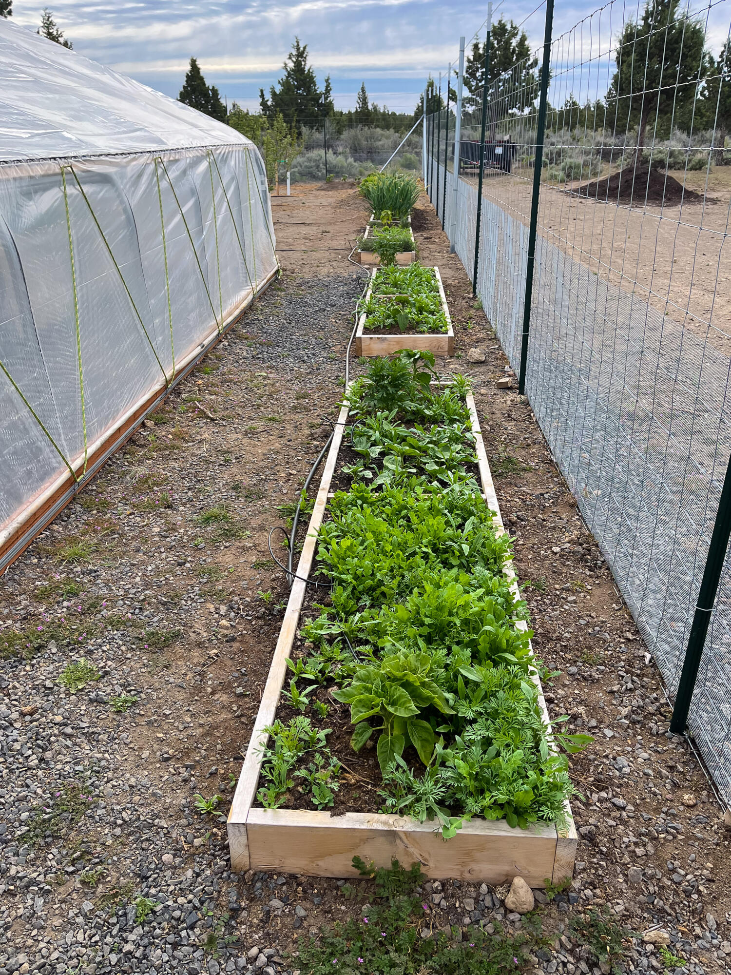 Plainview Est South - Residential