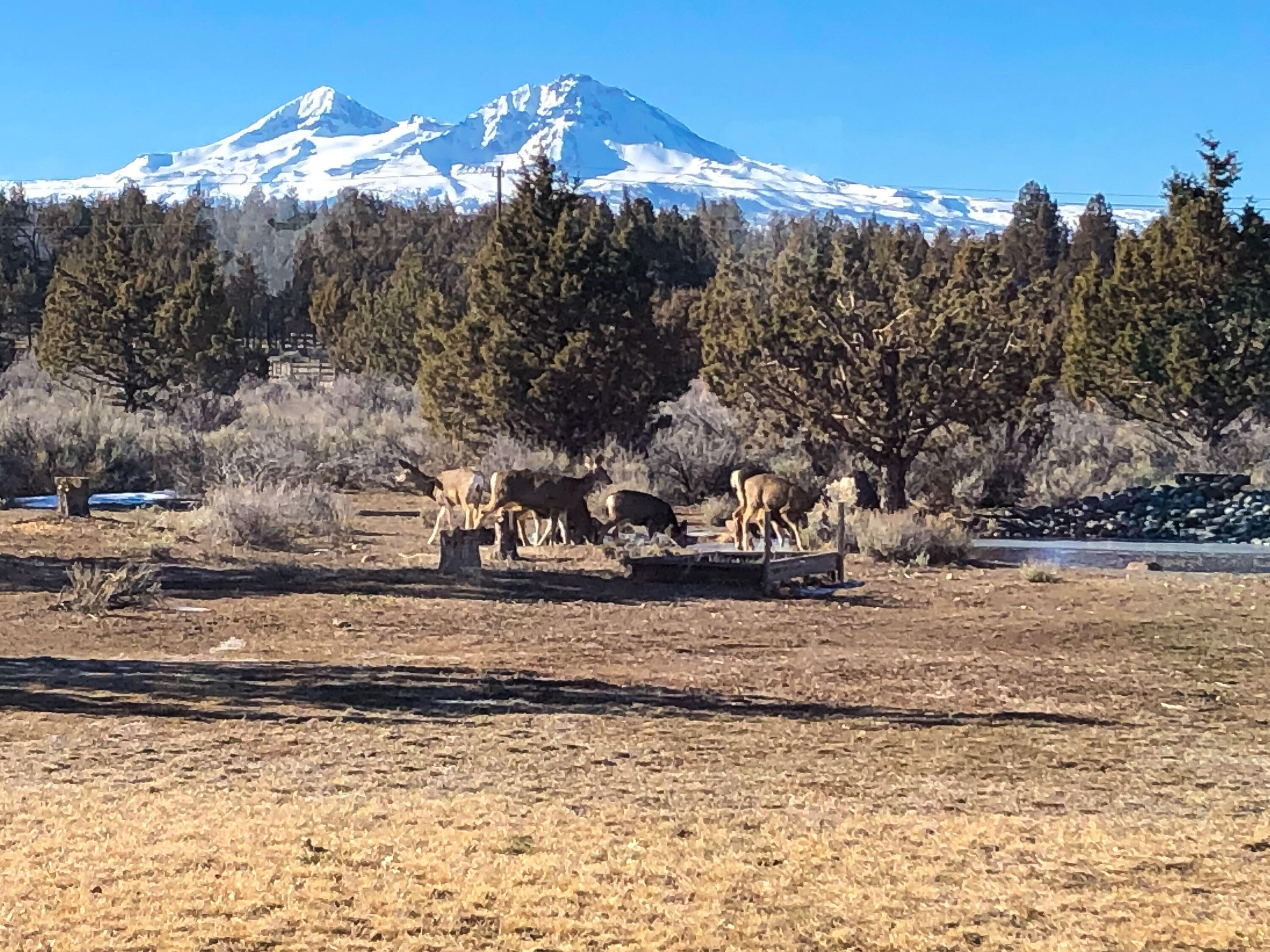 Plainview Est South - Residential