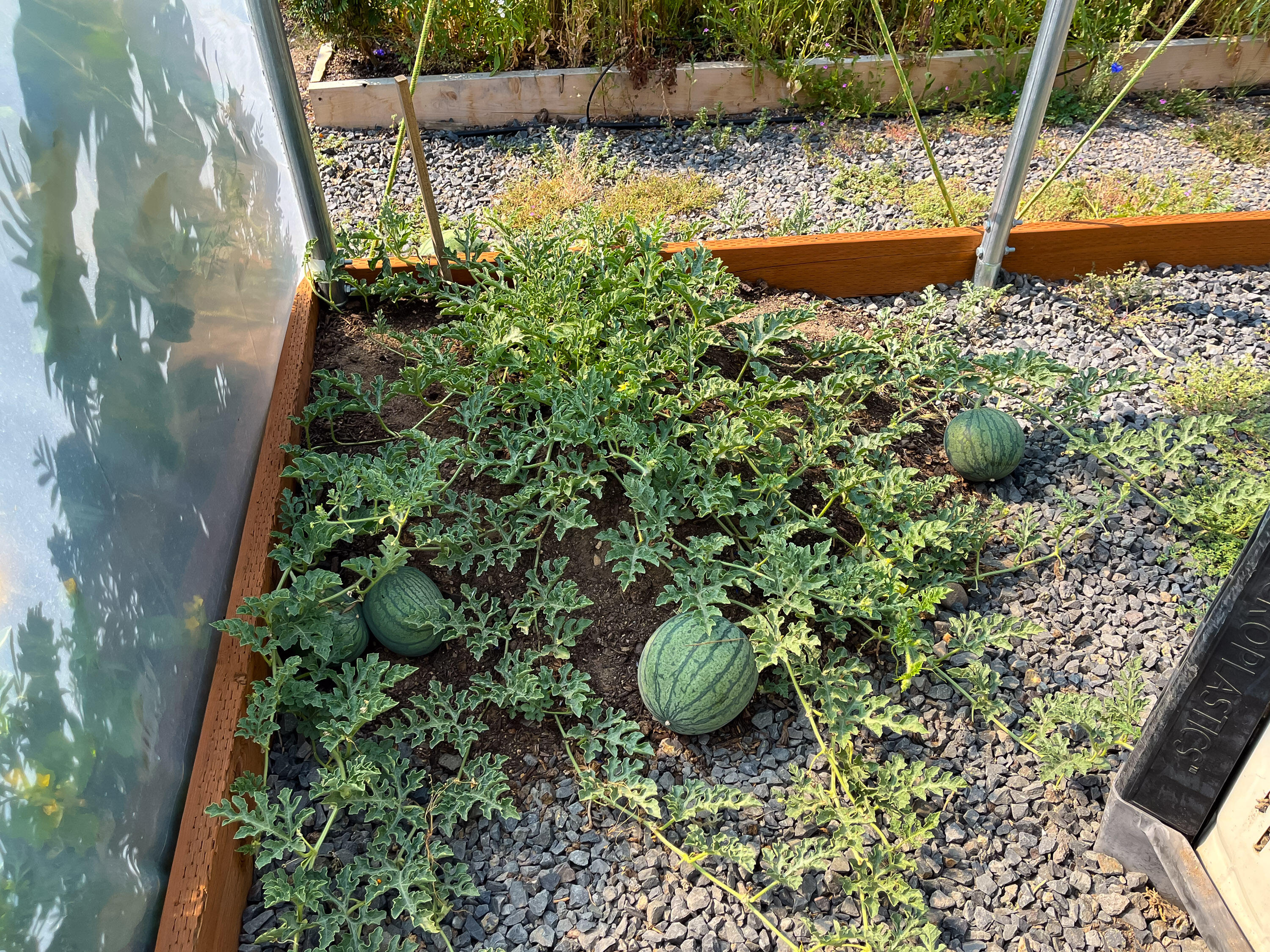 Plainview Est South - Residential