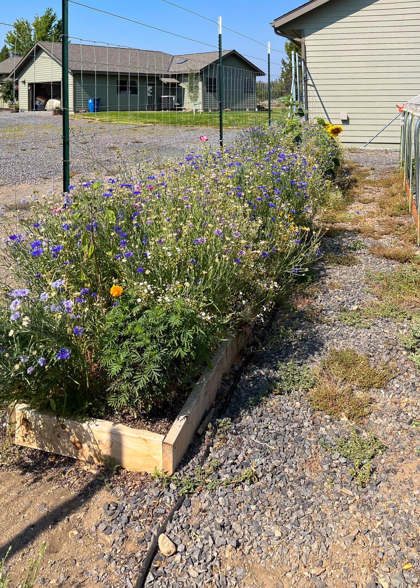 Plainview Est South - Residential