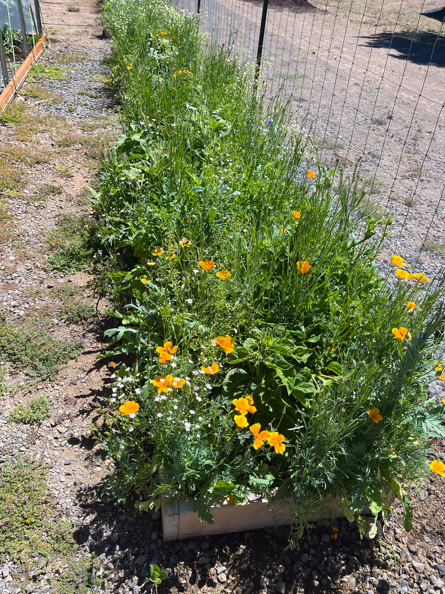 Plainview Est South - Residential