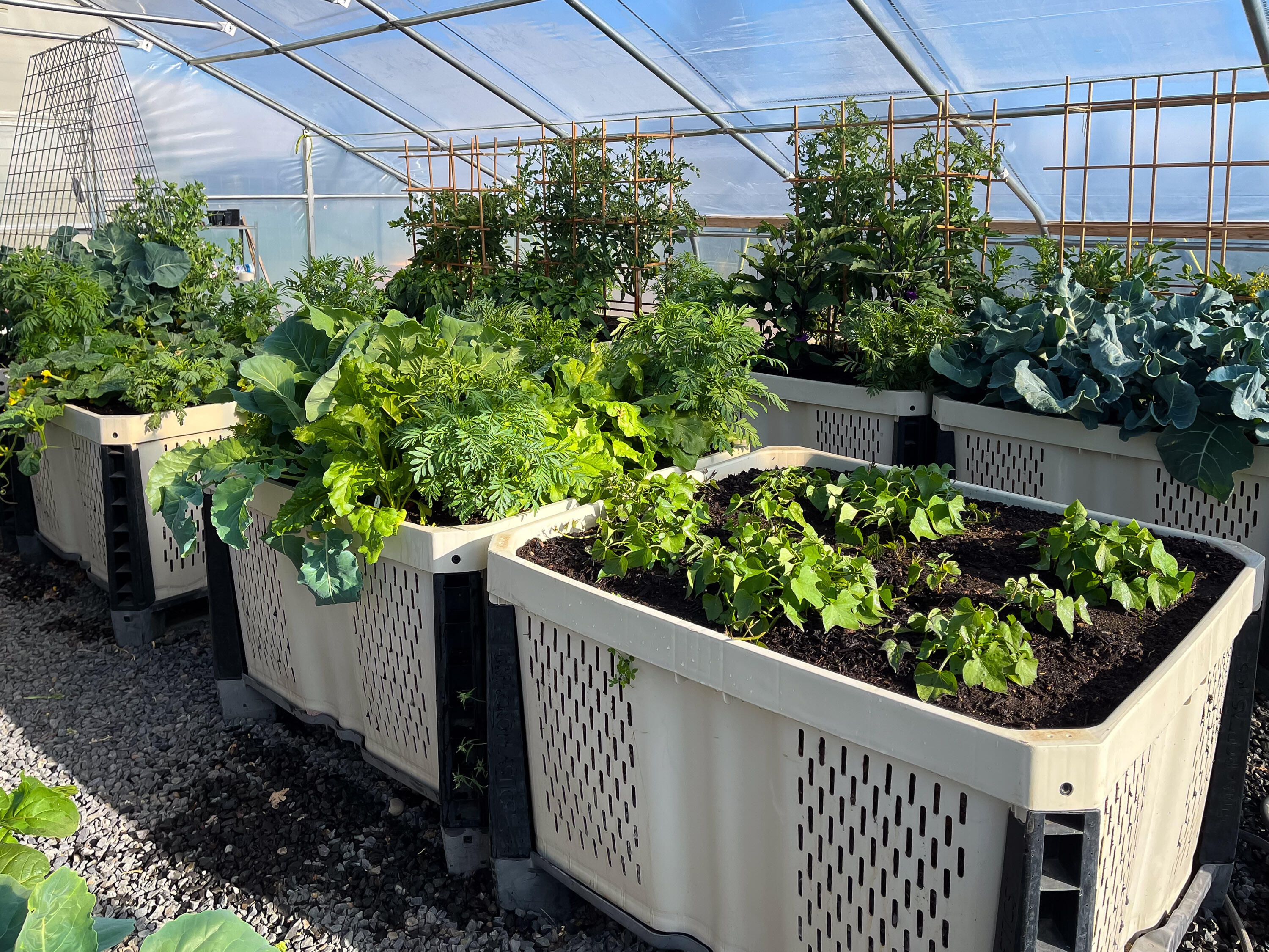 Plainview Est South - Residential