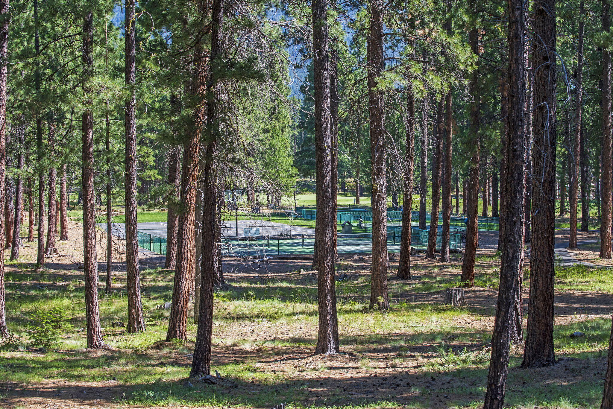 Black Butte Ranch - Residential