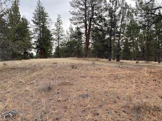 Klamath Falls Forest Estates -Hwy 66 Unit -Plat No. 2 - Land
