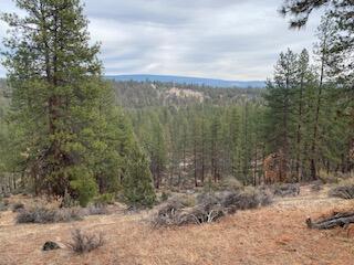 Klamath Falls Forest Estates -Hwy 66 Unit -Plat No. 2 - Land