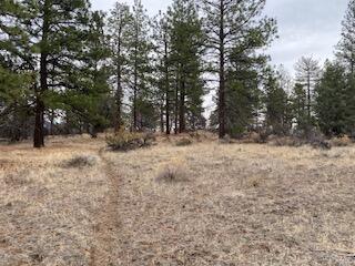 Klamath Falls Forest Estates -Hwy 66 Unit -Plat No. 2 - Land