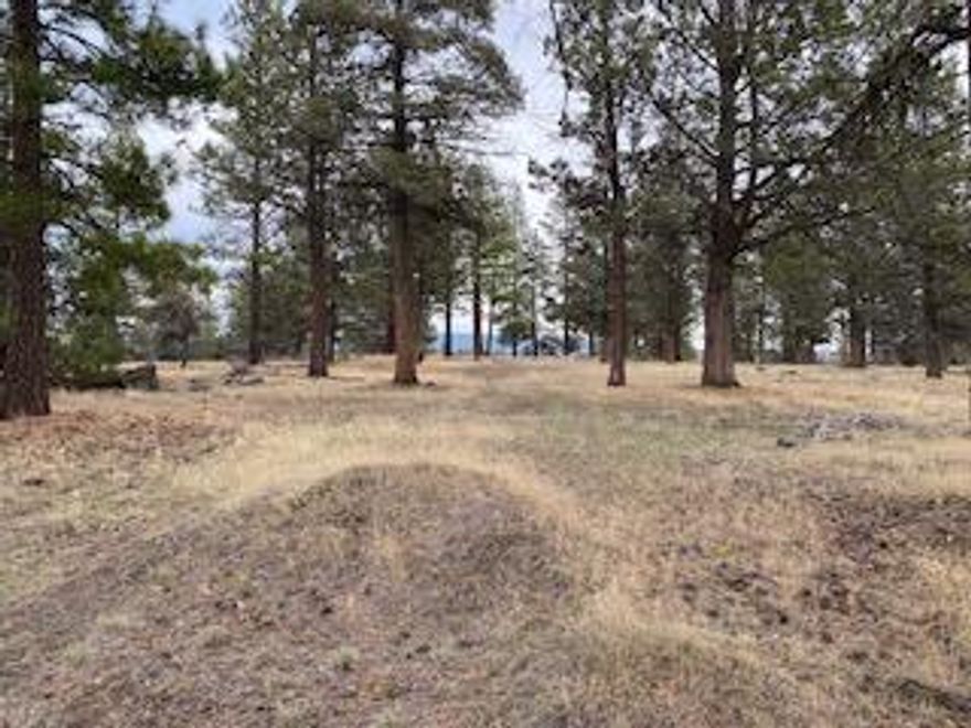 Beautiful piece of property and a great location just out of town. This is a must-see property with endless idea's for building your new home.