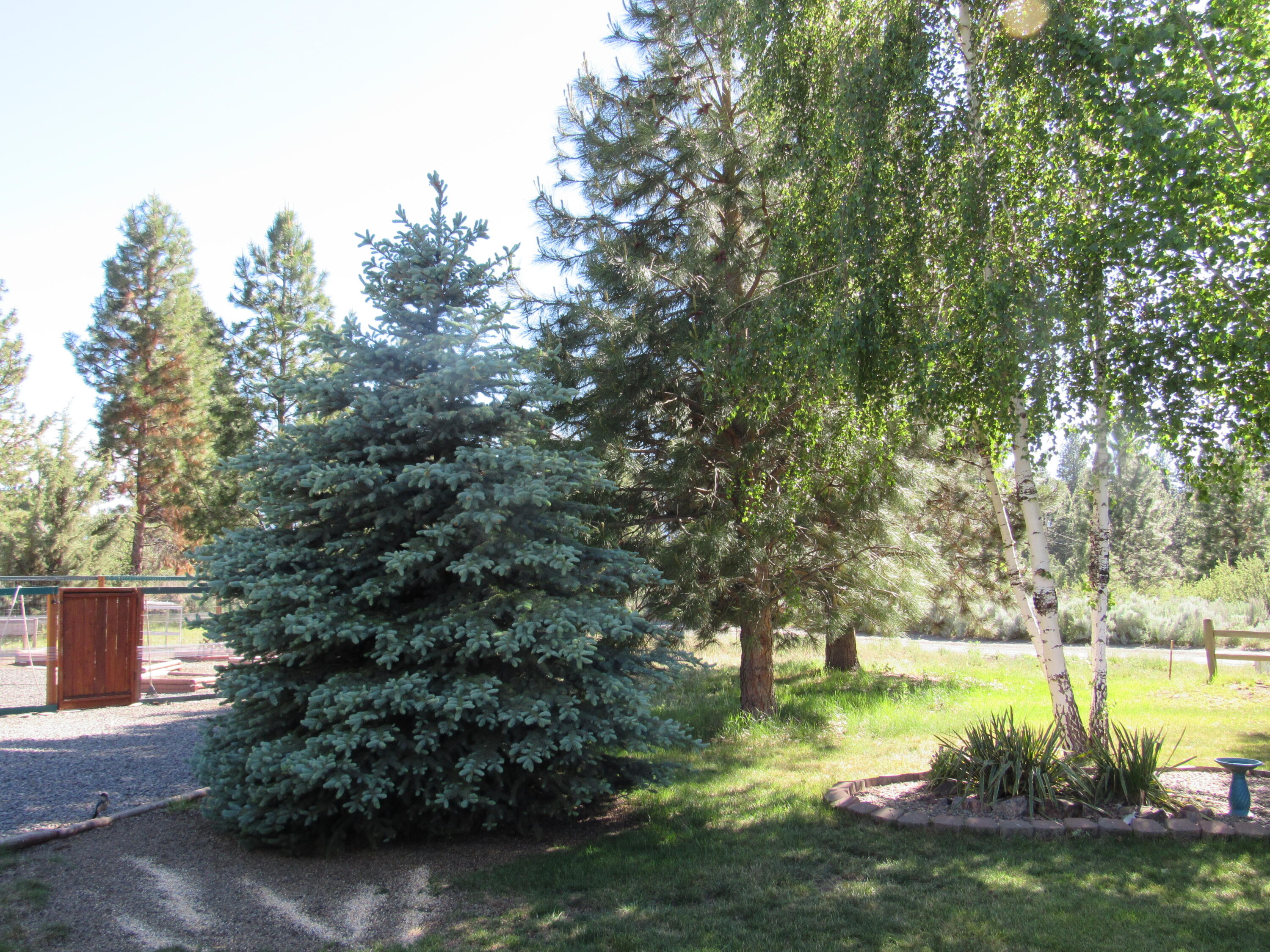 Latakomie Shores - Residential