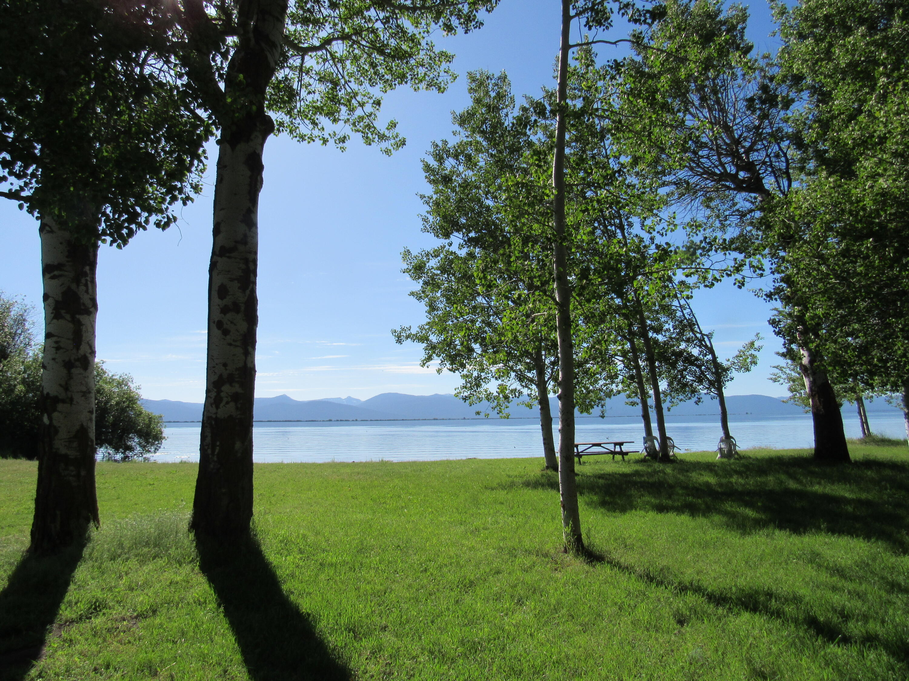 Latakomie Shores - Residential