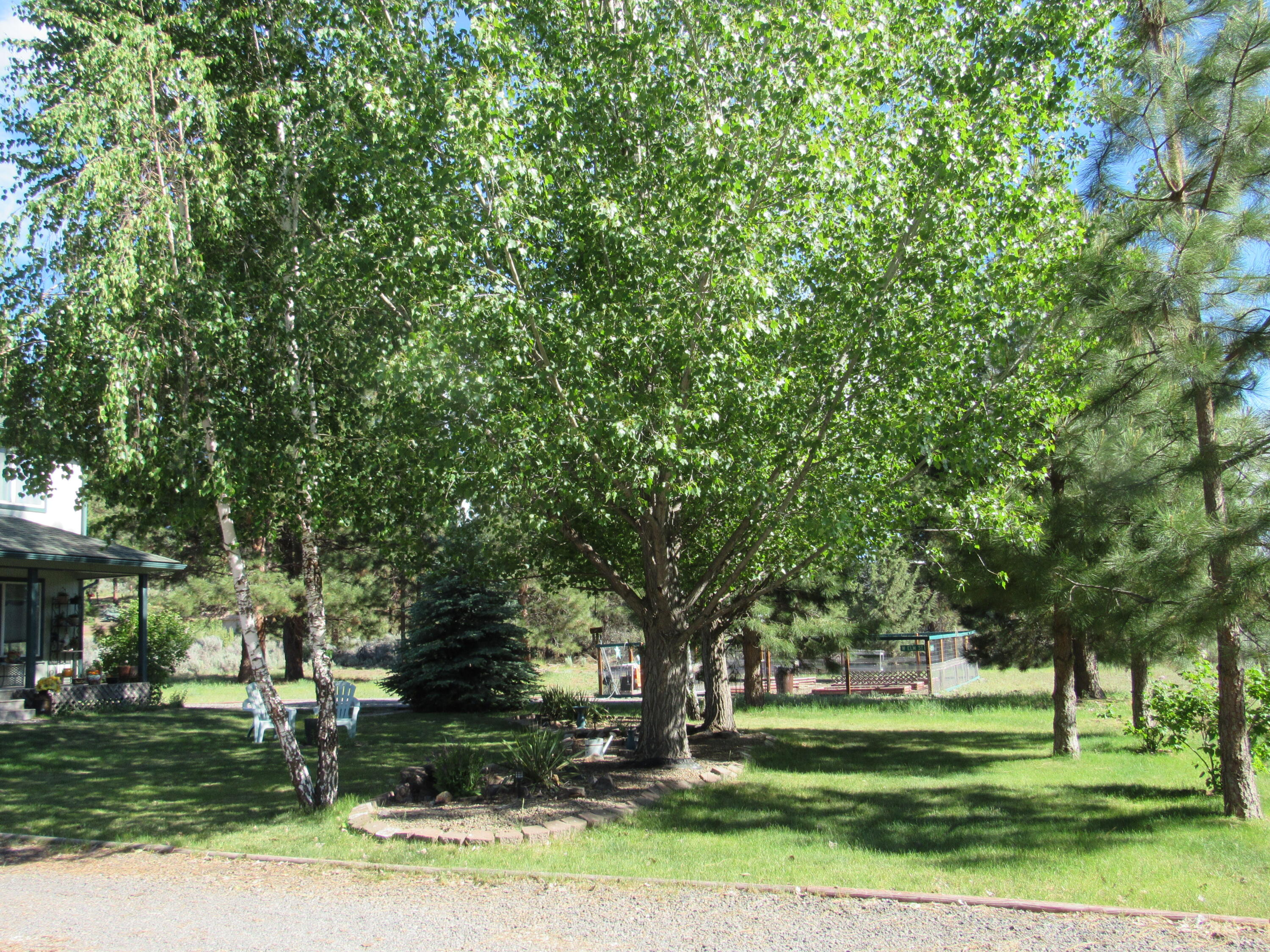 Latakomie Shores - Residential