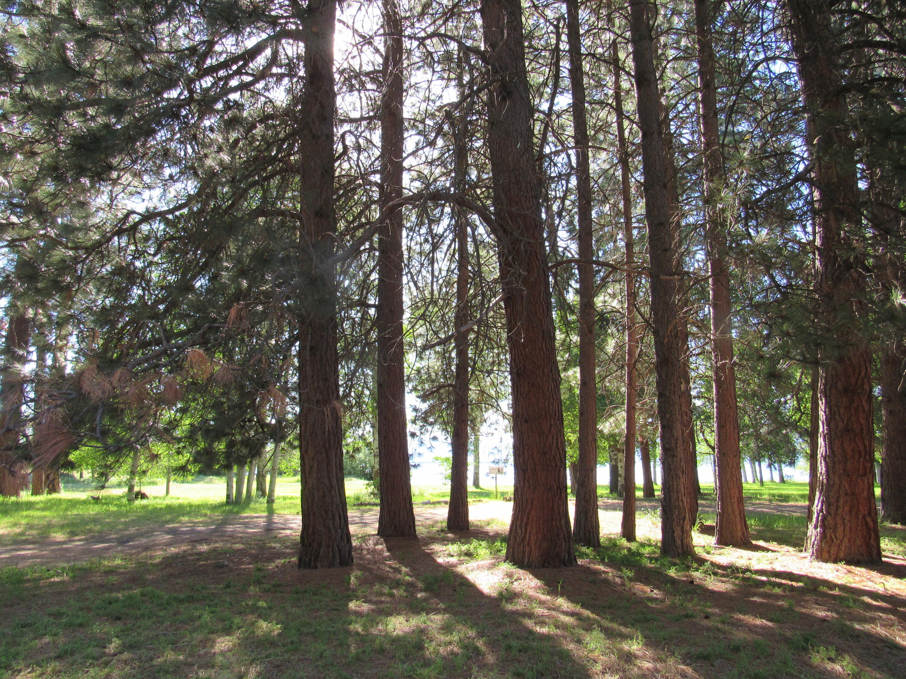 Latakomie Shores - Residential