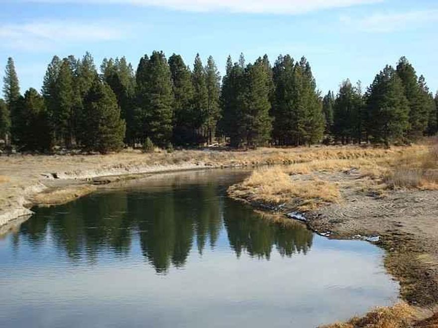 The Sprague River Runs Through This 160 Acres Of Ponderosa Pine And Natural Meadows Bordering Nfs Lands! Approximately 750mbf (As Per Jeld Wen Assessment) Of Ponderosa Timber On 20 +/- Acres That Are On The East Side Of The River, With Access From Elde Street.